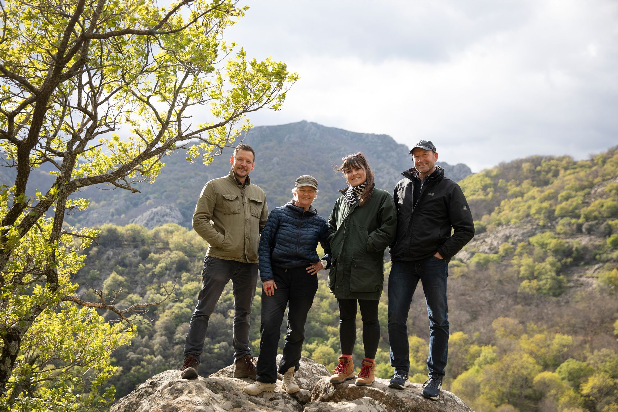 Meet the Team